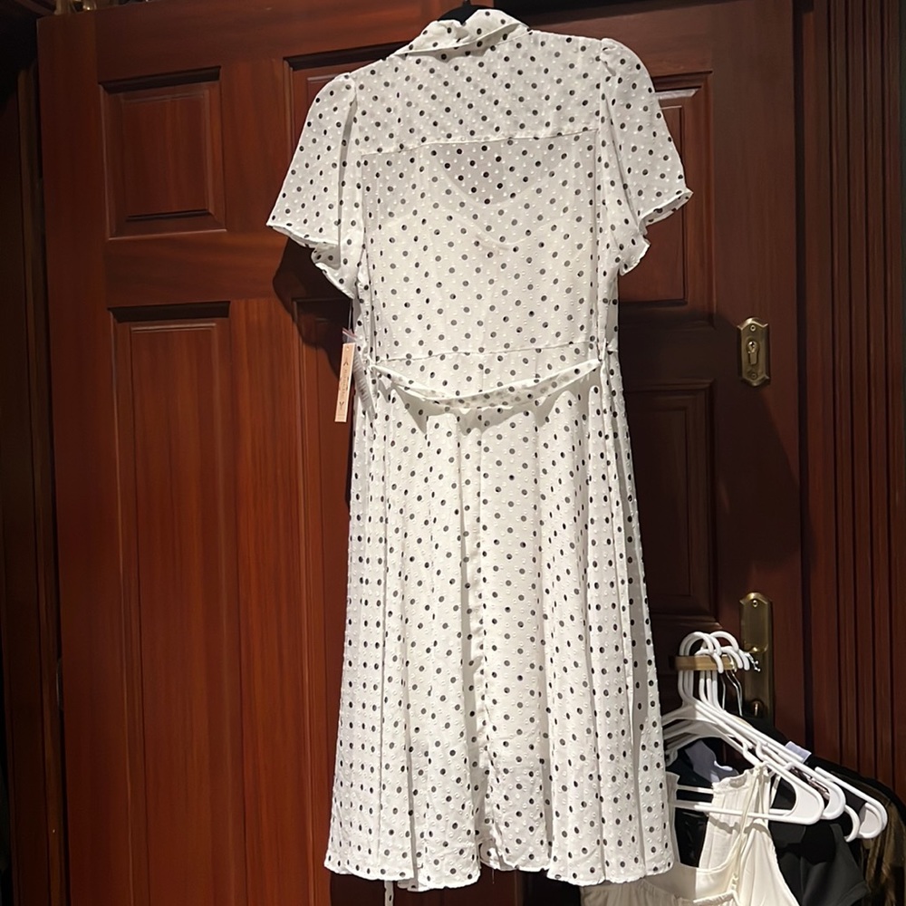 Polka Dots View 2